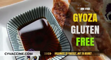Itsu Gyoza Gluten-Free? Exploring Ingredients and Dietary Suitability