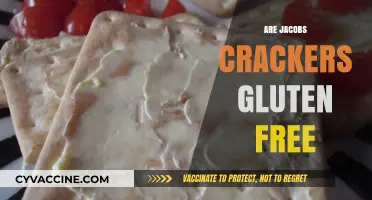 Are Jacobs Crackers Gluten-Free? A Complete Guide for Snack Lovers