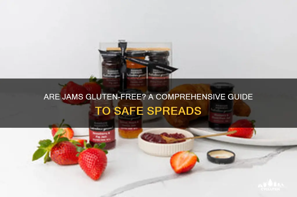 are jams gluten free