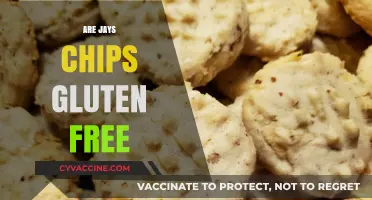 Are Jays Chips Gluten Free? A Crunchy Snack Fact Check