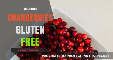 Are Jellied Cranberries Gluten-Free? A Clear and Simple Answer