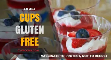 Are Jello Cups Gluten-Free? A Complete Guide to Safe Snacking