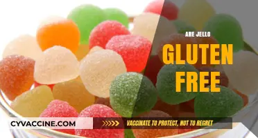 Is Jello Gluten-Free? A Complete Guide to Safe Snacking