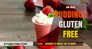 Are Jello Puddings Gluten-Free? A Complete Guide for Celiacs
