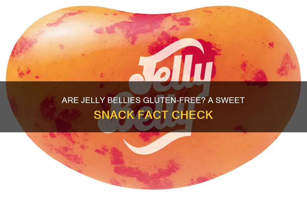 are jelly bellies gluten-free