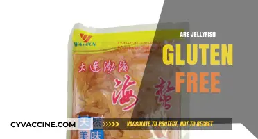 Are Jellyfish Gluten-Free? Exploring Seafood Dietary Restrictions
