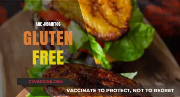 Are Jibaritos Gluten-Free? Exploring Puerto Rico's Famous Sandwich