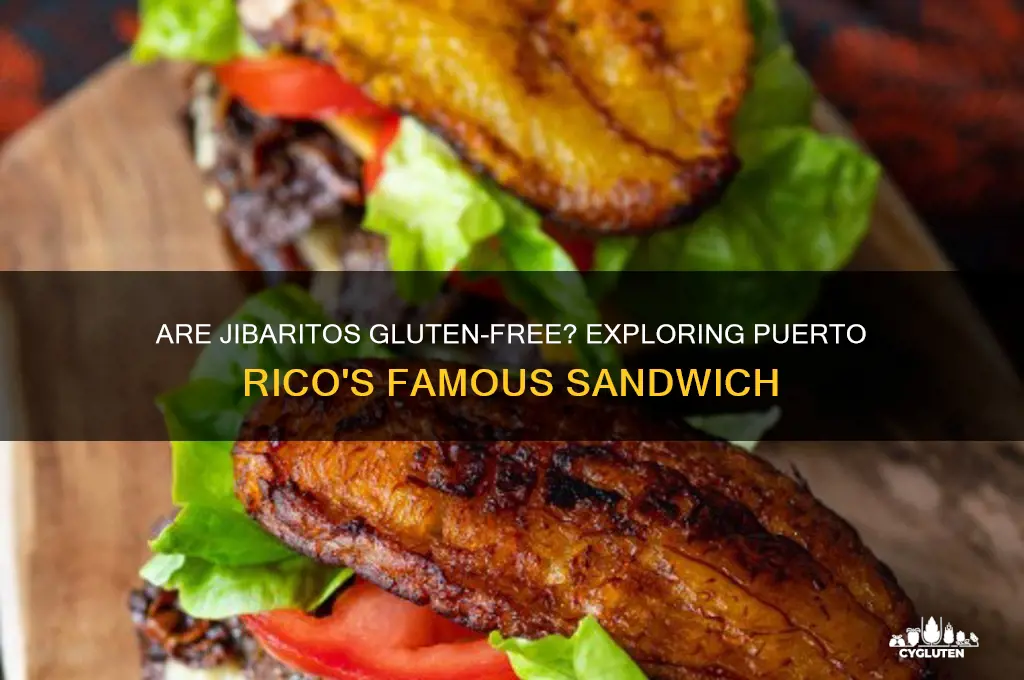 are jibaritos gluten free