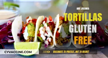 Are Jicama Tortillas Gluten-Free? A Healthy Alternative Explored