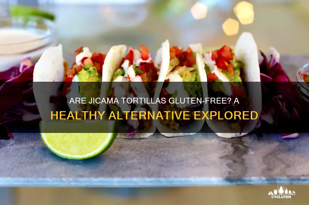 are jicama tortillas gluten free