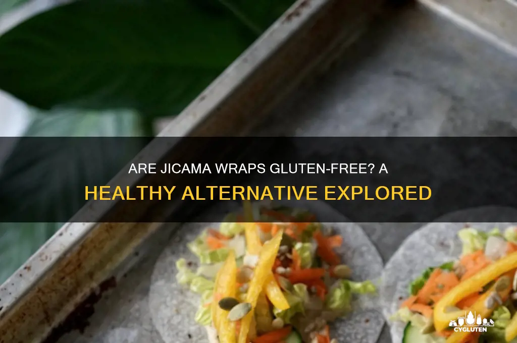 are jicama wraps gluten free