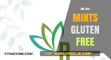 Are Jila Mints Gluten-Free? A Complete Guide for Dietary Needs