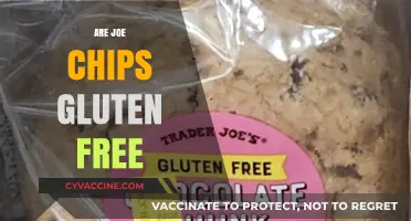 Are Joe Chips Gluten-Free? A Crunchy Snack Fact Check