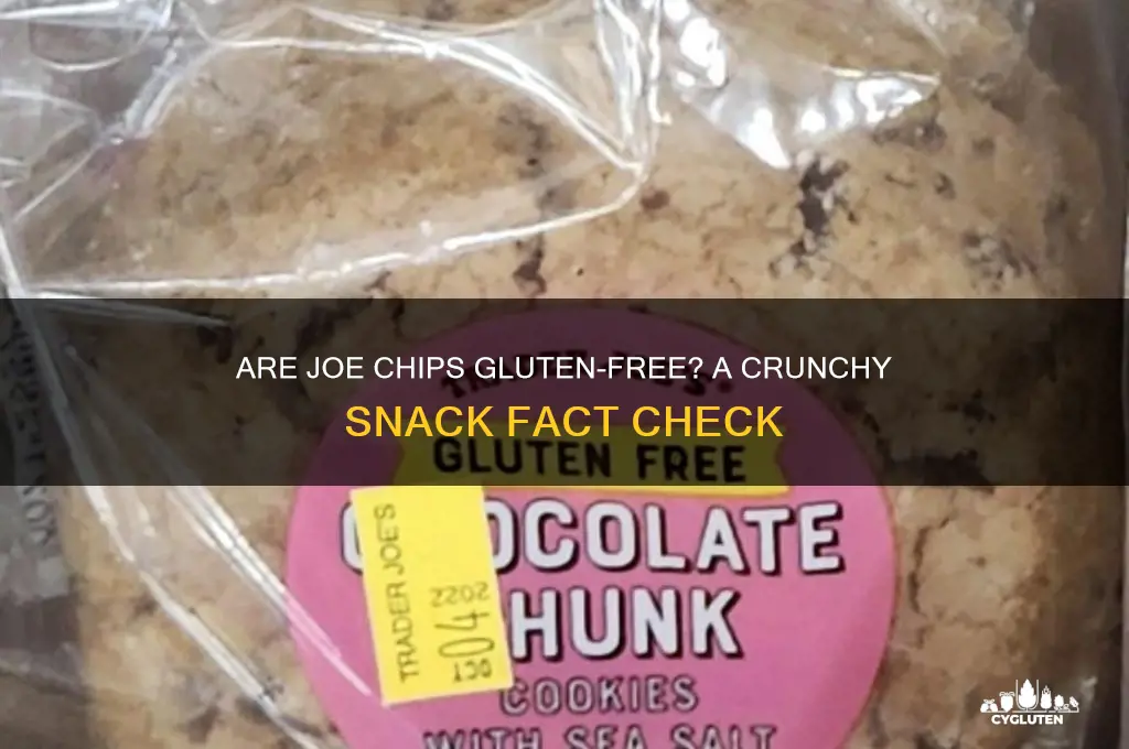 are joe chips gluten free