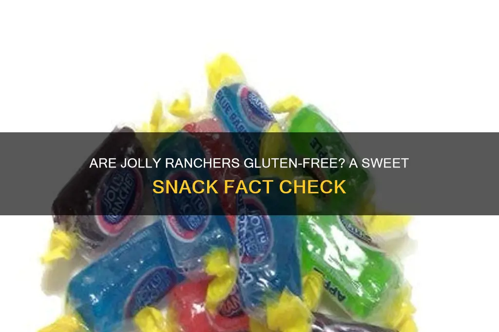 are jolly ranchers gluten-free
