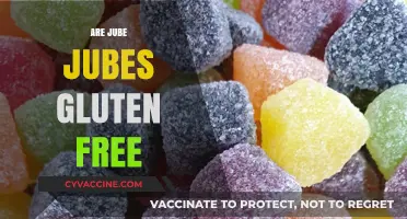 Are Jube Jubes Gluten Free? A Sweet Snack Investigation