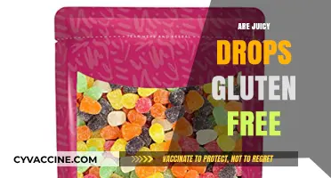 Are Juicy Drops Gluten Free? A Sweet Snack Fact Check