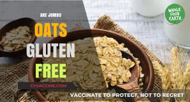 Are Jumbo Oats Gluten-Free? Unraveling the Truth for Celiacs