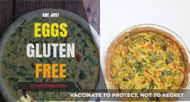 Are Just Eggs Gluten-Free? A Clear Answer for Celiac Diets