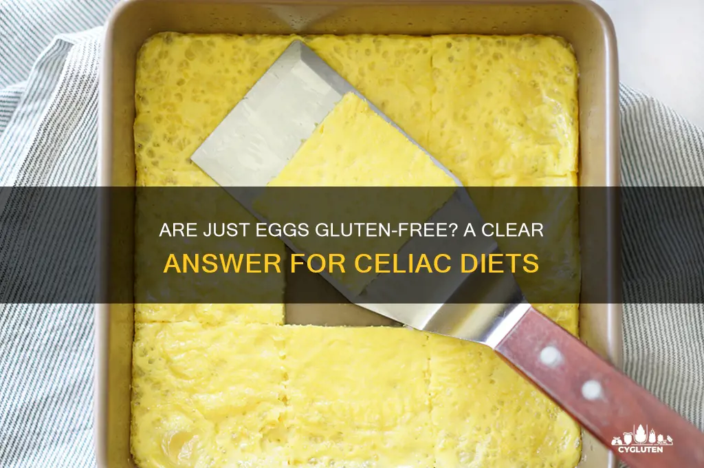 are just eggs gluten free