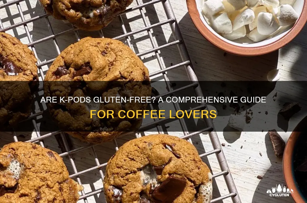 are k pods gluten free