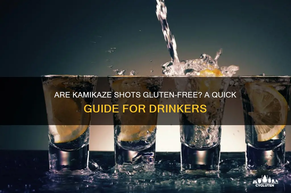 are kamikaze shots gluten free