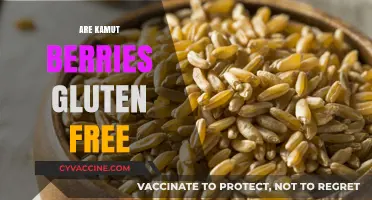 Are Kamut Berries Gluten-Free? Unraveling the Ancient Grain Mystery