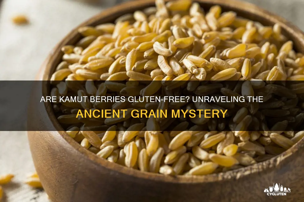 are kamut berries gluten free