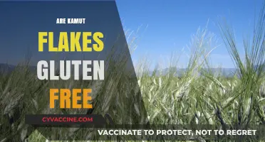 Are Kamut Flakes Gluten-Free? Unraveling the Truth for Your Diet