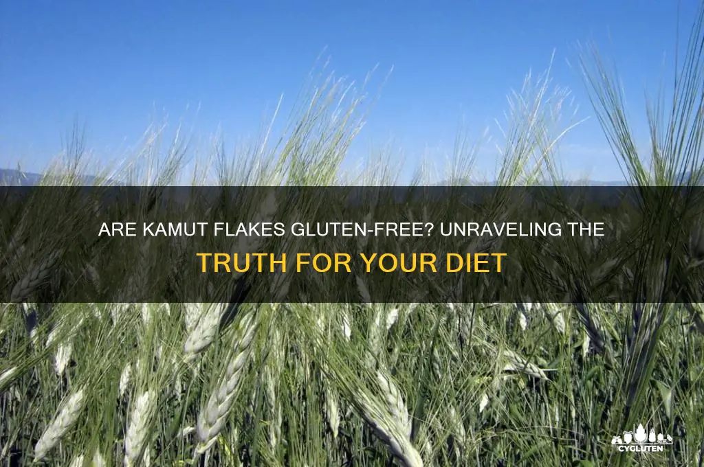 are kamut flakes gluten free