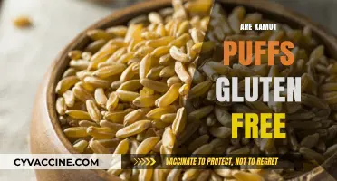 Are Kamut Puffs Gluten-Free? Uncovering the Truth for Celiac Diets