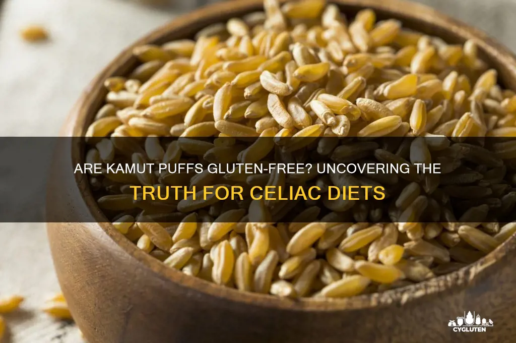 are kamut puffs gluten free