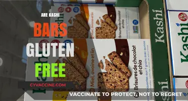 Are Kashi Bars Gluten-Free? A Comprehensive Guide to Ingredients