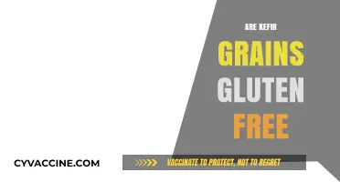 Are Kefir Grains Gluten-Free? Unraveling the Facts for a Healthy Diet