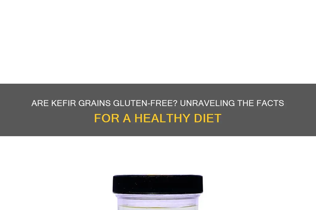 are kefir grains gluten free