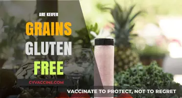 Are Keifer Grains Gluten-Free? Unraveling the Truth for Your Diet