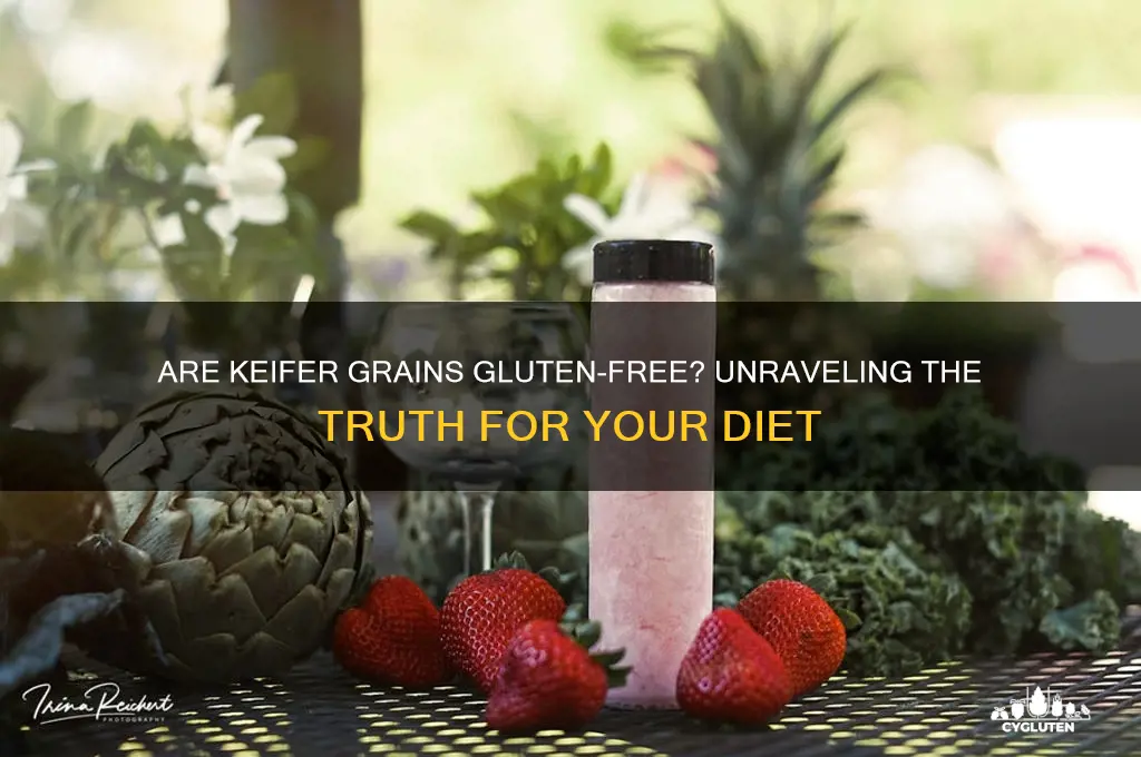 are keifer grains gluten free