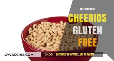 Are Kellogg's Cheerios Gluten-Free? A Comprehensive Guide for Celiacs