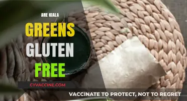 Are Kiala Greens Gluten-Free? A Comprehensive Guide to Ingredients