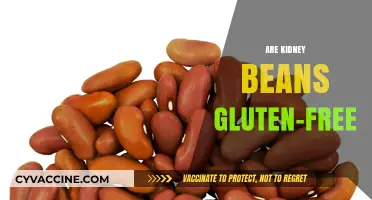 Are Kidney Beans Gluten-Free? A Clear Answer for Your Diet