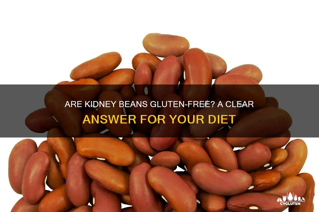 are kidney beans gluten-free