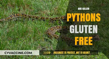 Are Killer Pythons Gluten-Free? Unraveling the Myth and Facts