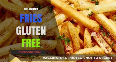 Are Kinder's Fries Gluten-Free? A Complete Guide for Celiac Diners