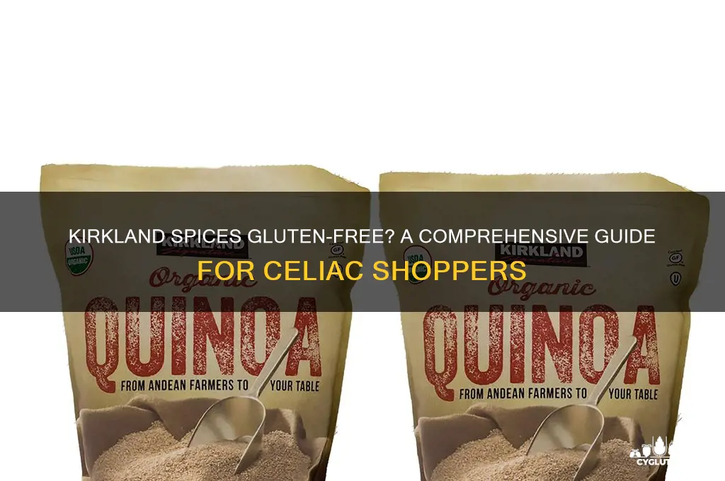 are kirkland spices gluten free