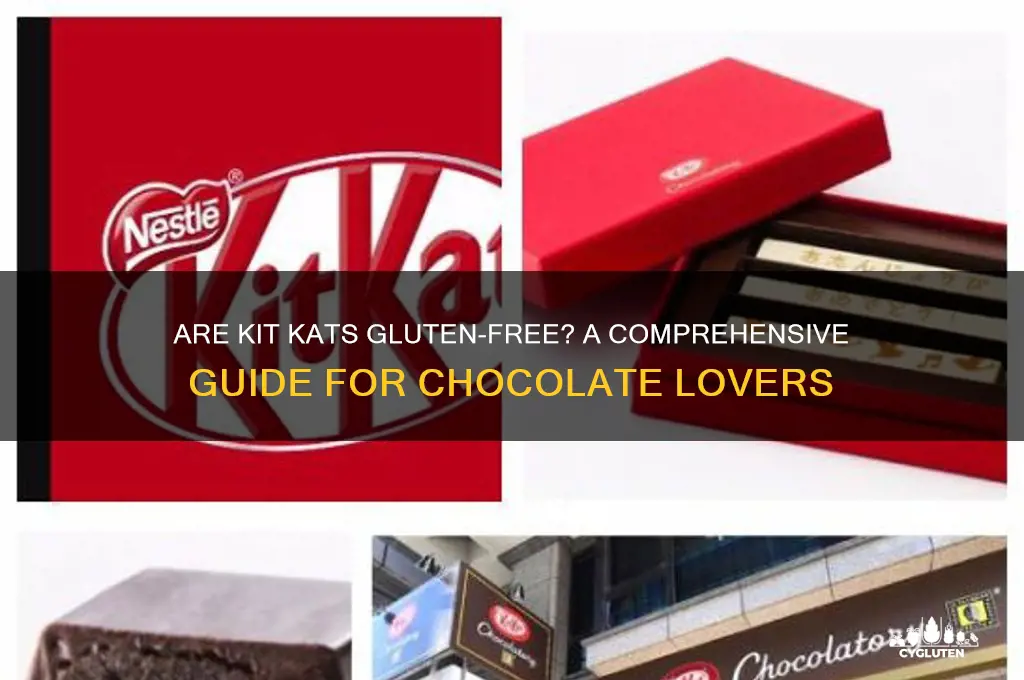 are kit kat gluten free