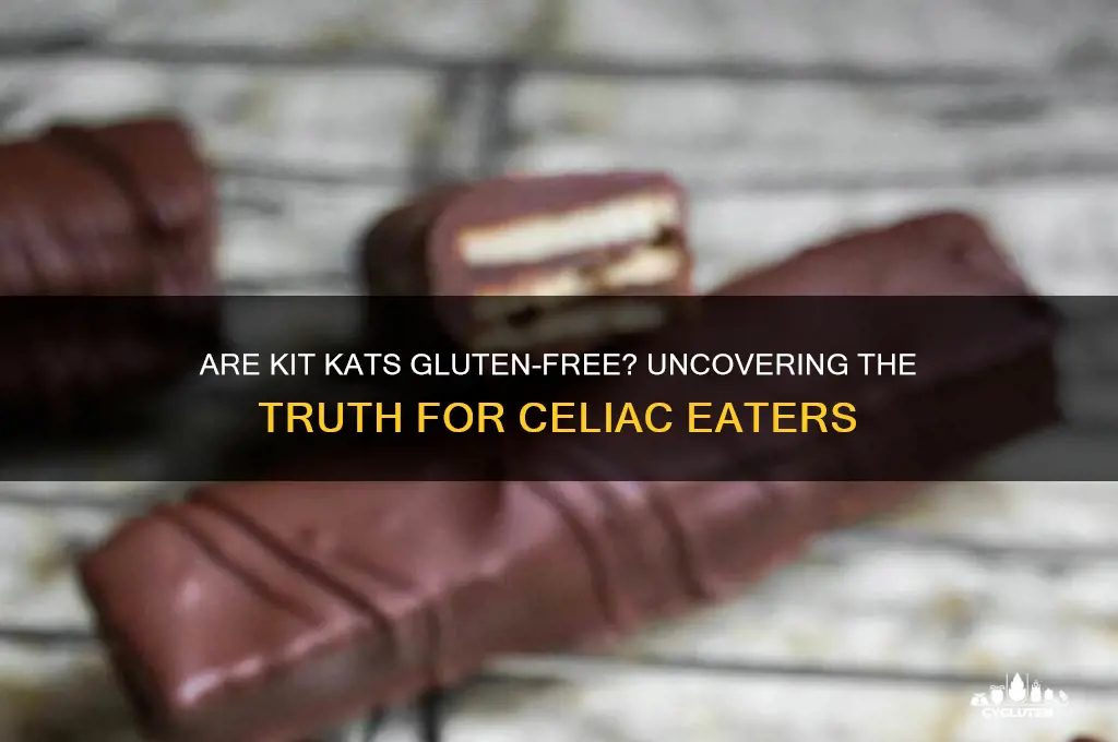 are kit kats gluten-free