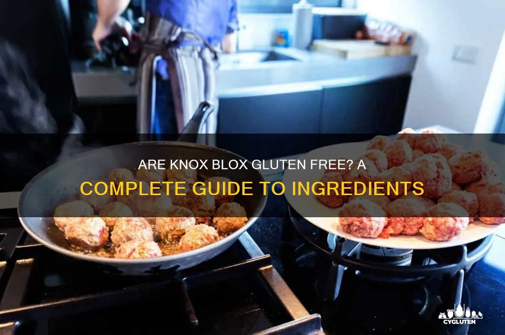 are knox blox gluten free