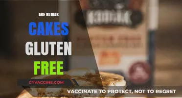 Are Kodiak Cakes Gluten-Free? A Complete Guide to Their Ingredients