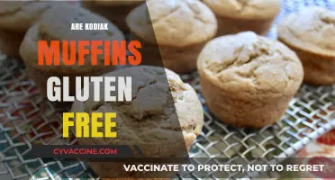 Are Kodiak Muffins Gluten-Free? A Complete Guide for Dieters