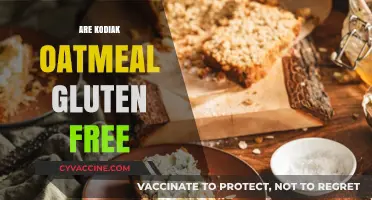 Is Kodiak Oatmeal Gluten-Free? A Complete Guide for Celiac Diets